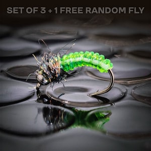 3 caddis larva + 1 FREE random fly — Tungsten bead head effective euro nymph flies perfect for rainbow brown trout brook golden trout bass