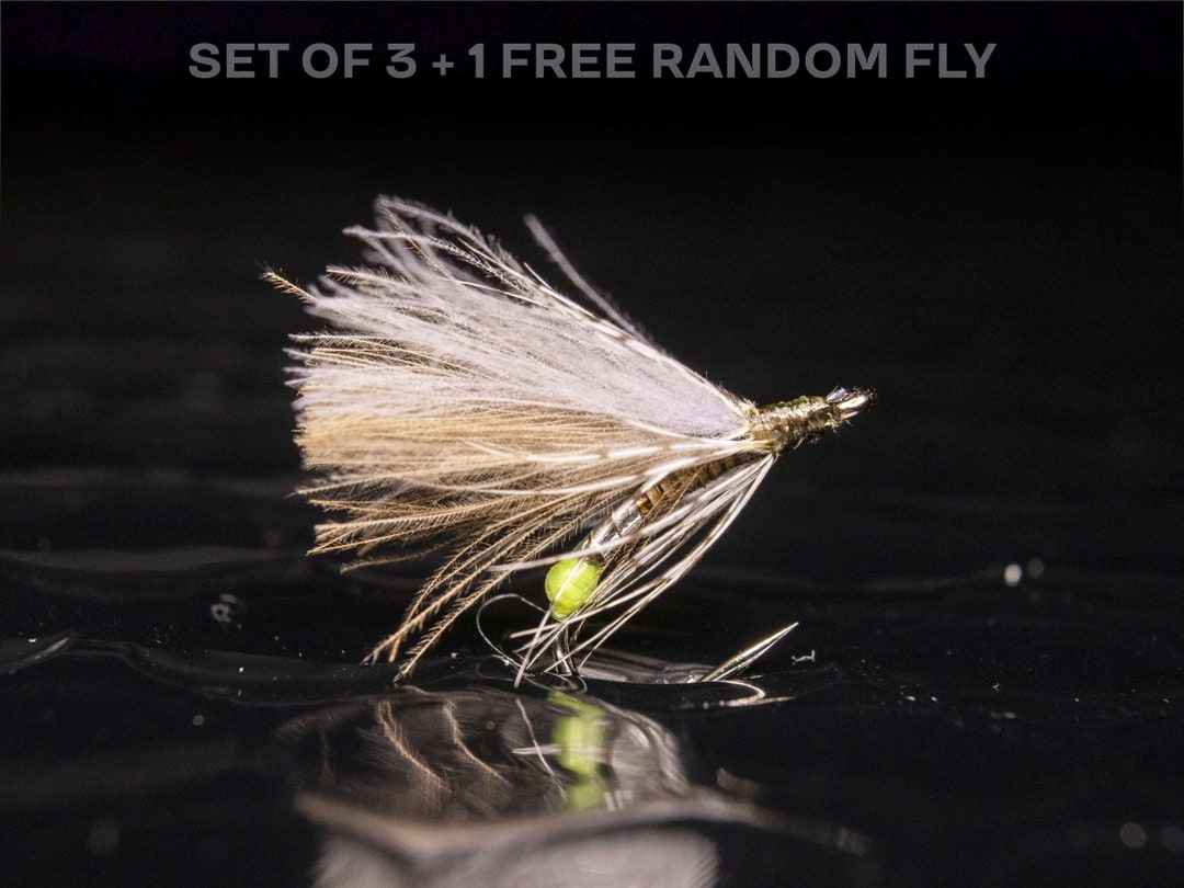 3 Caddis Dry Flies + 1 FREE Random Fly — Surface Fly Fishing Perfect ...