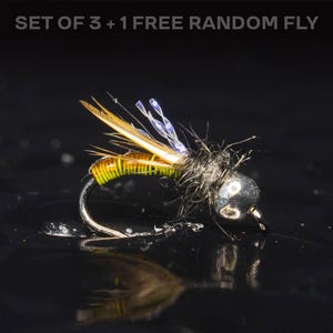 3 caddis nymph + 1 FREE random fly — Tungsten bead head effective euro nymph flies perfect for rainbow brown trout brook golden trout bass