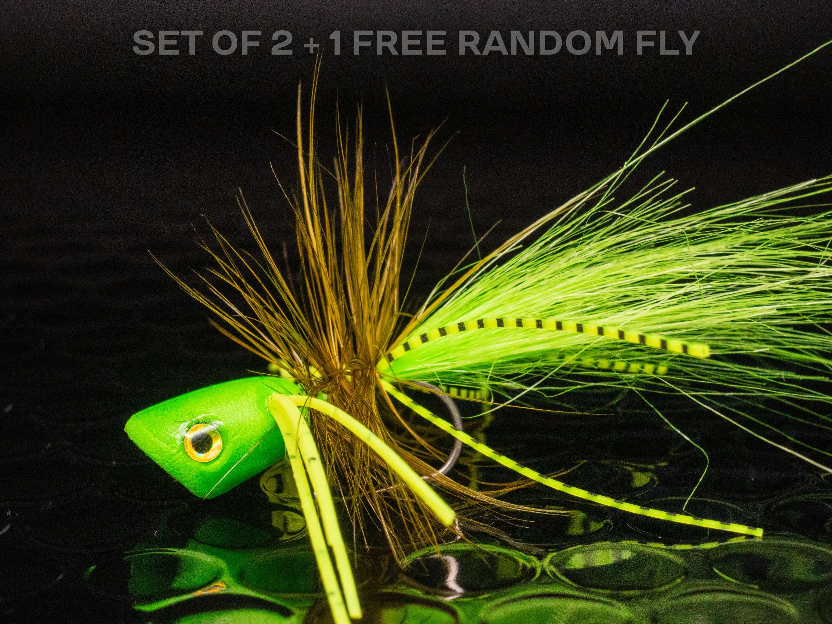 2 Poppers + 1 FREE Random Fly — Double Barrel Bass Surface Flies ...