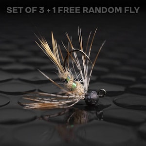 3 euro nymph + 1 FREE random fly — Tungsten bead head hare&#39;s ear euronymph jig flies for fly fishing. Perfect for trout flies