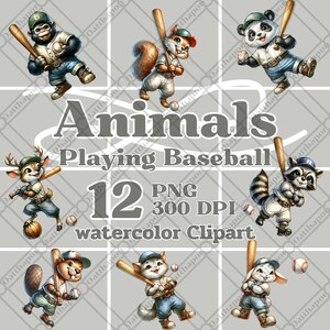 Aquarell Clipart, Baseball Tier, Tier PNG, Sport, digitaler Download, Baseball PNG, Frosch PNG, Katze PNG, Känguru, Kaninchen, kommerzielle Nutzung