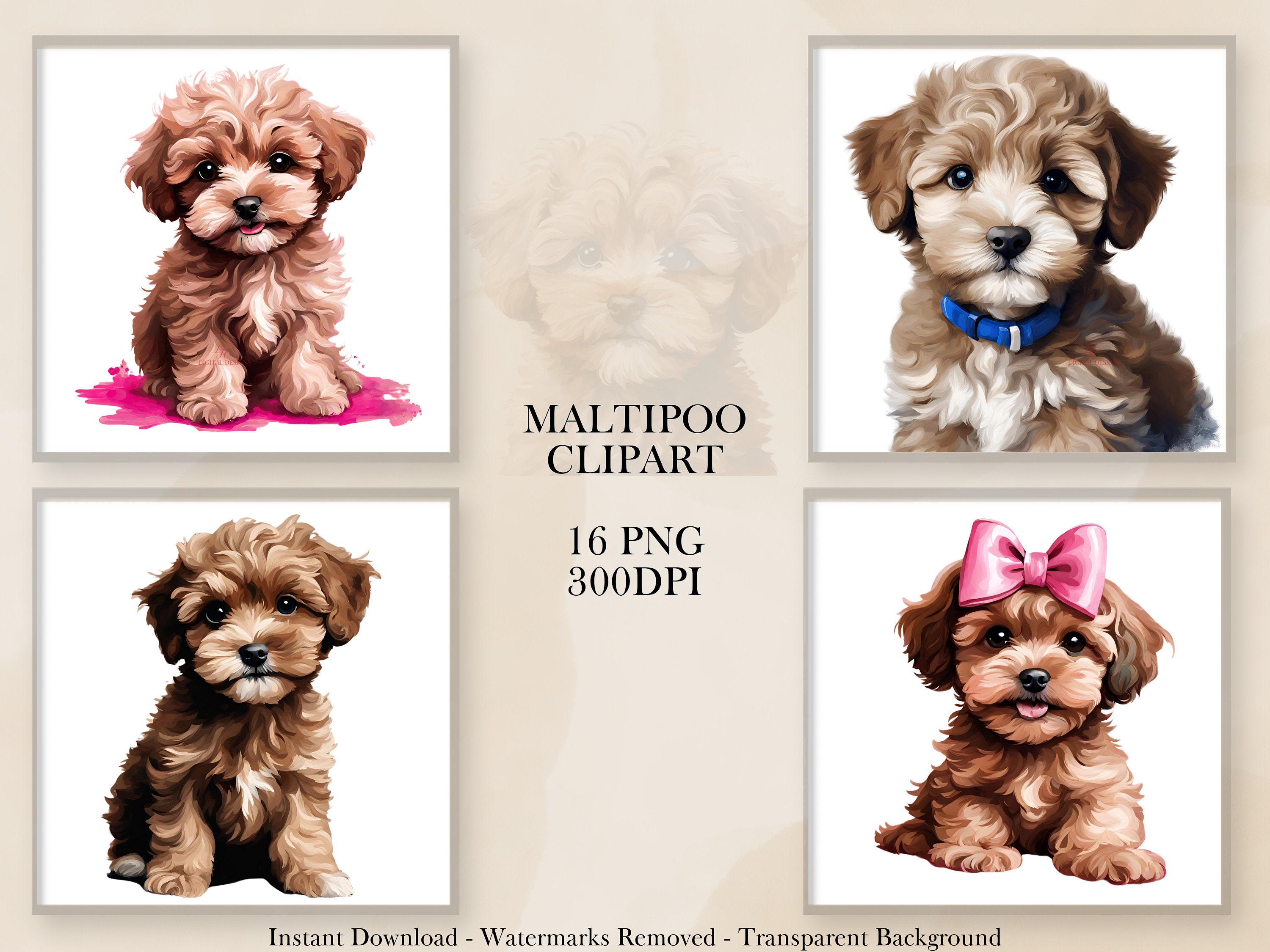Maltipoo Clipart, 16 PNG Clipart Bundle, Puppy, Dog Art, Instant ...