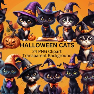 May include: A set of 24 Halloween cat clipart images with transparent backgrounds. The cats are dressed in witch hats and have various expressions. Some cats are holding pumpkins, books, or bats.