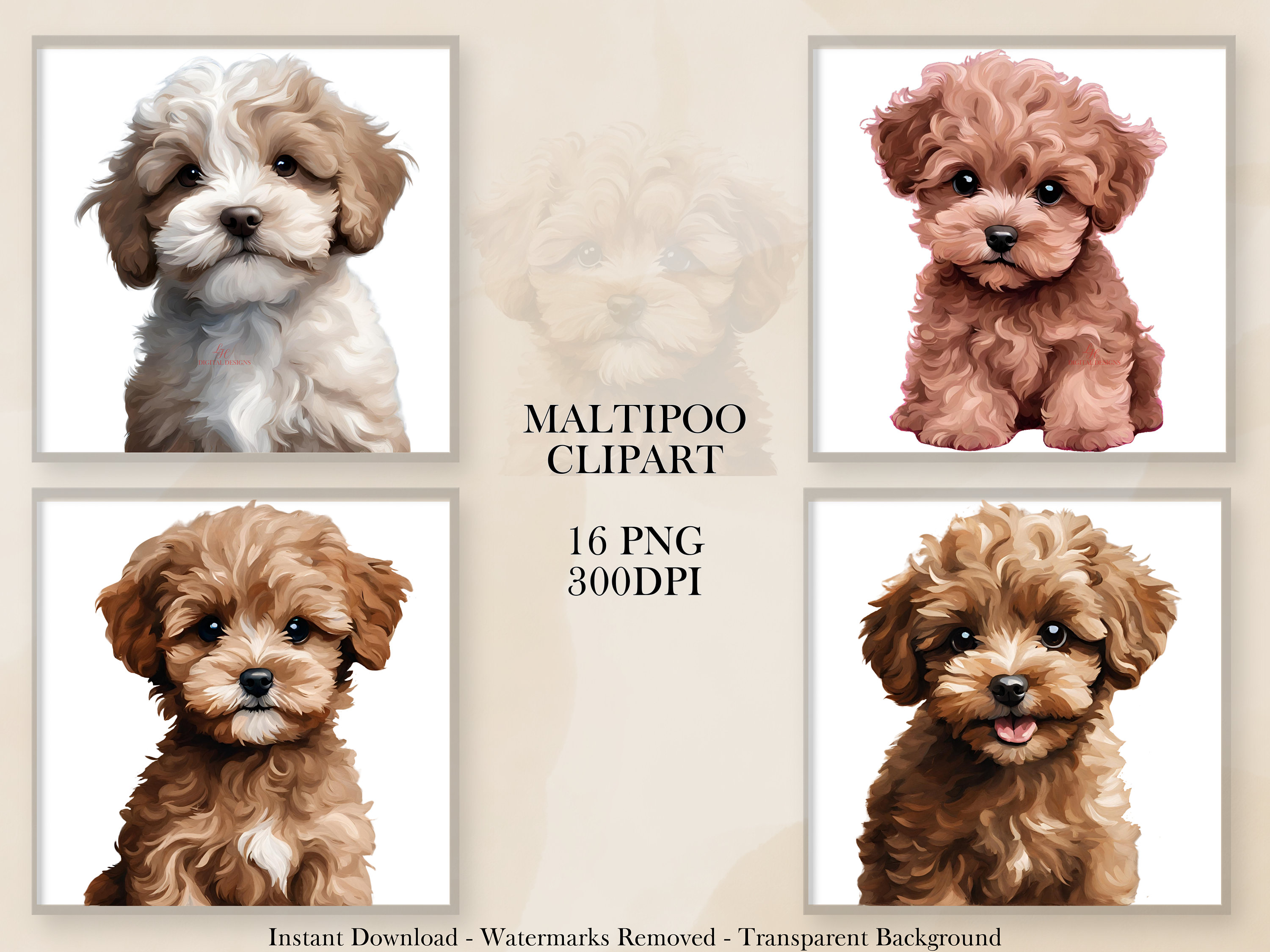 Maltipoo Clipart, 16 PNG Clipart Bundle, Puppy, Dog Art, Instant ...