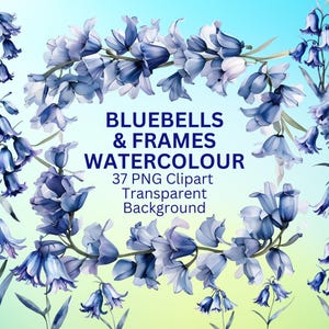 Bluebells and Frames Watercolour Clipart, PNG, 37 PNG Clipart Bundle, Instant Download, Commercial Use, Spring Flowers