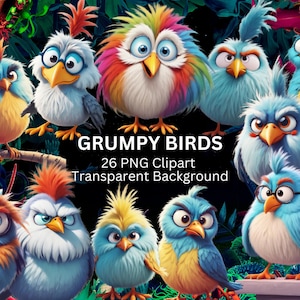 Grumpy Feathered Birds, 26 PNG Colourful Fluffy Bird Clipart Bundle, Instant Download