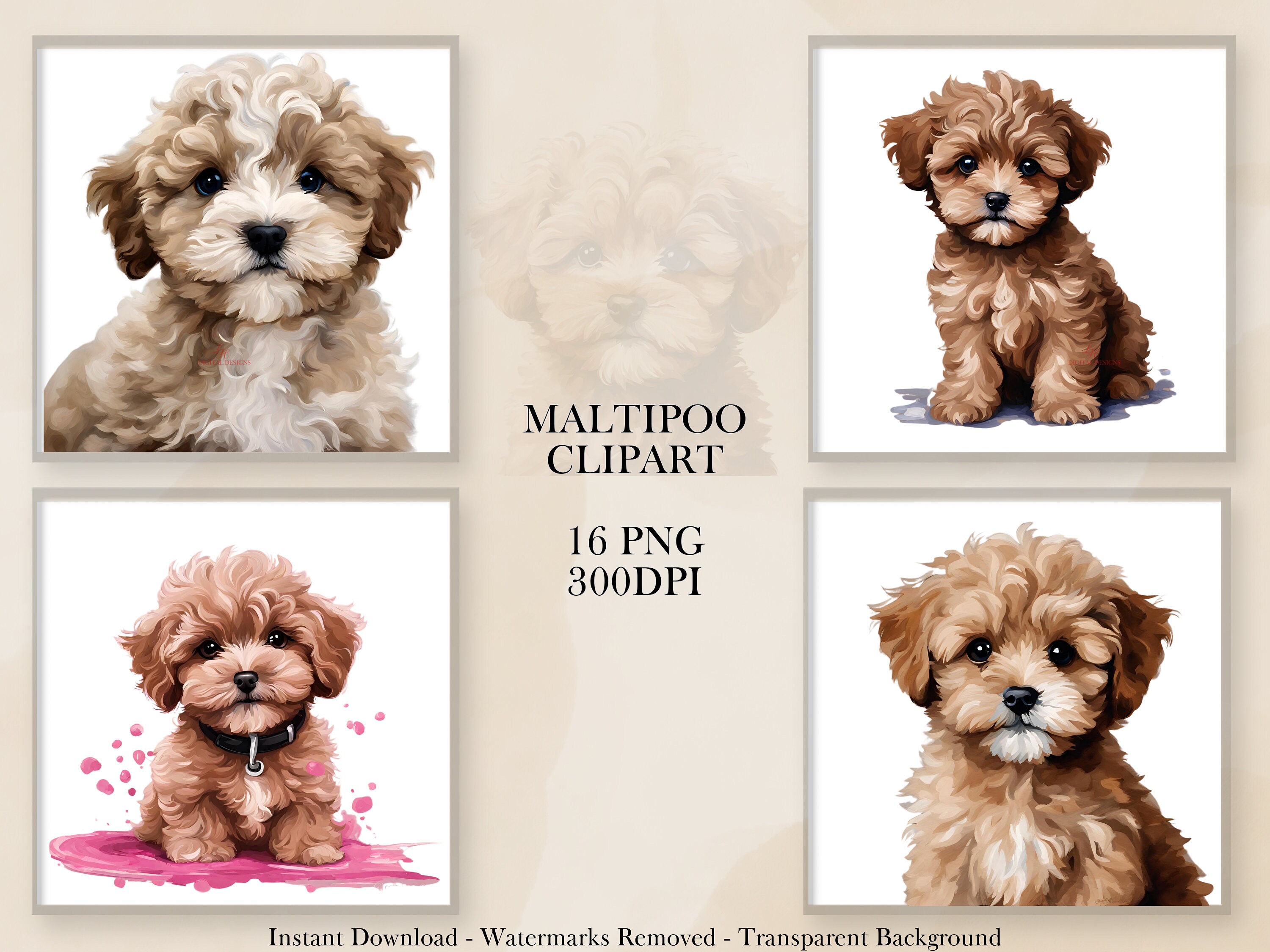 Maltipoo Clipart, 16 PNG Clipart Bundle, Puppy, Dog Art, Instant ...
