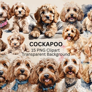 Joli Cockapoo Clipart, 15 PNG Clipart Bundle, Art chien, téléchargement immédiat, usage Commercial et personnel