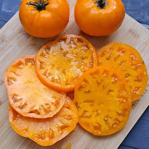 Heirloom Organic Golden-yellow beefsteak tomatoes seeds - UK grown, no dig (15 seeds)