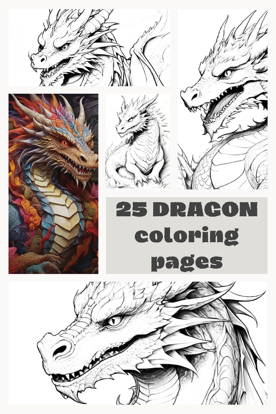 25 Dragon Coloring Book Printable Png - Etsy