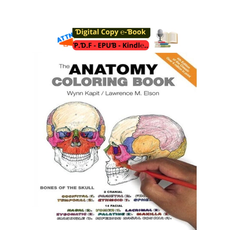 The Anatomy Coloring Book 4th Edition Etsy