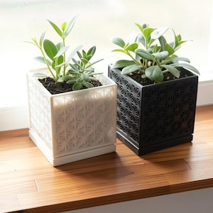 May include: Two square planters with green plants sit on a wooden surface near a window. One planter is white with a geometric pattern, and the other is black with a similar design. The plants have green leaves and are in dark soil.