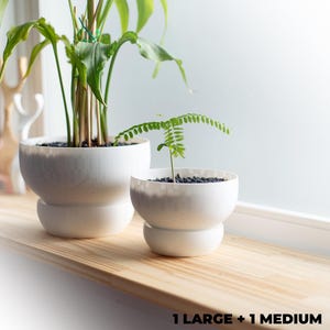 May include: Two white ceramic planters with plants. The larger planter has a leafy green plant and the smaller planter has a fern. The text "1 LARGE + 1 MEDIUM" is on the bottom of the image.