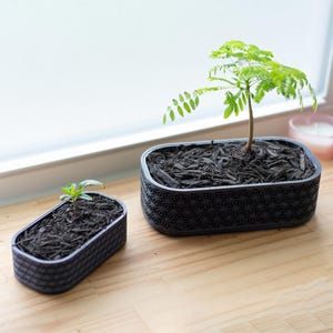 Op de afbeelding: Twee zwarte rechthoekige plantenbakken met geometrische patronen, gevuld met aarde en kleine planten, staan op een houten oppervlak bij een raam. E&eacute;n plantenbak bevat een grotere plant met groene bladeren.