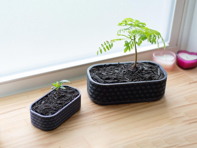 Op de afbeelding: Twee zwarte rechthoekige plantenbakken met geometrische patronen, gevuld met aarde en kleine planten, staan op een houten oppervlak bij een raam. E&eacute;n plantenbak bevat een grotere plant met groene bladeren.