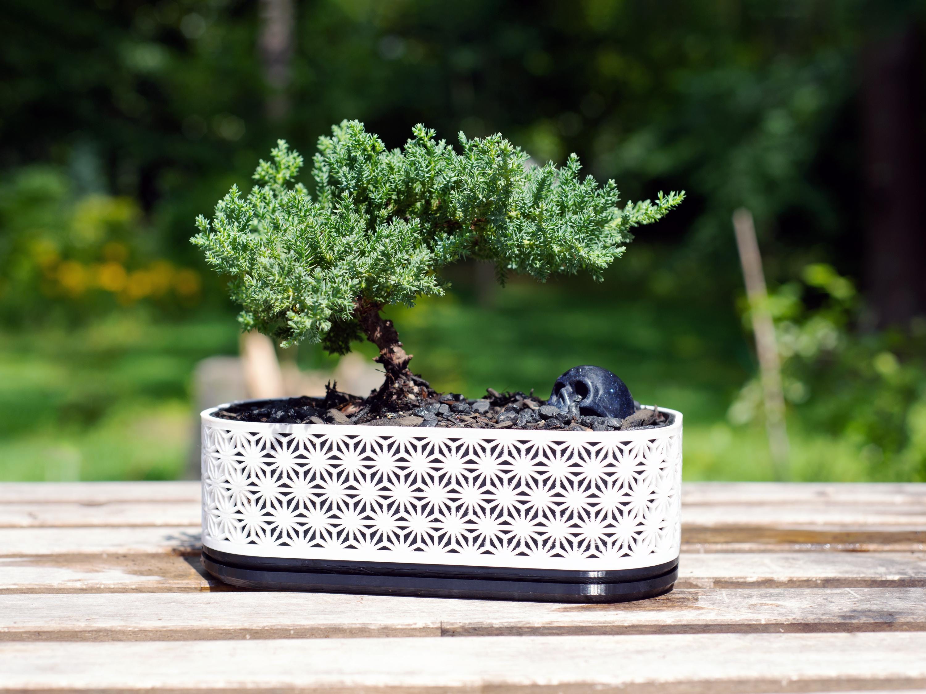 Bonsai planter - Etsy 日本