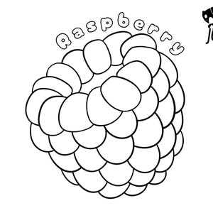 Raspberry Fruit Coloring Page for Kids and Adults Simple Easy Food ...
