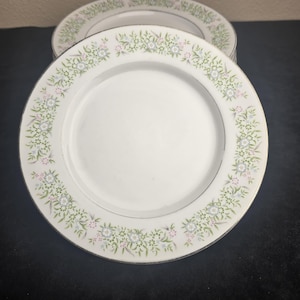 Puede incluir: Platos de cerámica blancos con un borde floral de flores rosas, verdes y azules. Los platos tienen un borde plateado y un diseño limpio, adecuado para servir comidas. Se ve una pila de platos.