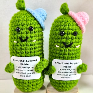 Emotional Support Pickle Cute Positive Crochet Pickle Personalized Crochet Pickle Crochet Ornament Birthday Gift Graduation Gift for Her/Him image 10