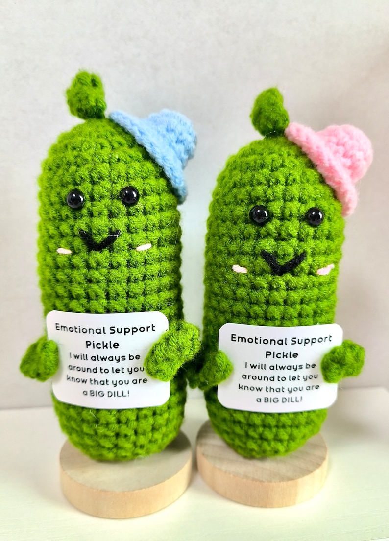 Emotional Support Pickle Cute Positive Crochet Pickle Personalized Crochet Pickle Crochet Ornament Birthday Gift Graduation Gift for Her/Him image 10