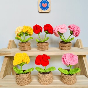 Crochet Carnation Potted Plant|Crochet Lilly of the Valley|Crochet Sunflower|Car Accessory|Desk Decor|Monther’s Day Gift|Eternal Flower Gift