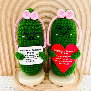 Emotional Support Pickle Cute Positive Crochet Pickle Personalized Crochet Pickle Crochet Ornament Birthday Gift Graduation Gift for Her/Him Pink Bow+Braid