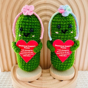 Emotional Support Pickle Cute Positive Crochet Pickle Personalized Crochet Pickle Crochet Ornament Birthday Gift Graduation Gift for Her/Him Pink Flower+Braid