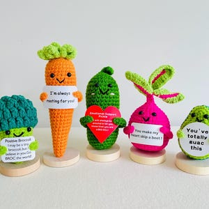 Positive Crochet Vegetables and Fruits, Crochet Desk Buddy, Emotional Support Inspirational Dietitian Gift, Birthday Gift,Graduation Gift