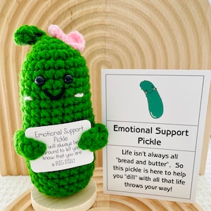 Emotional Support Pickle Cute Positive Crochet Pickle Personalized Crochet Pickle Crochet Ornament Birthday Gift Graduation Gift for Her/Him Pink Bow Pickle