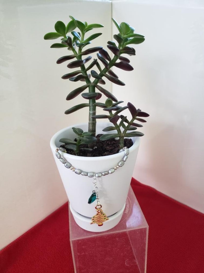May include: A white ceramic pot with a succulent plant and a silver beaded bracelet with a gold Christmas tree charm hanging from it.