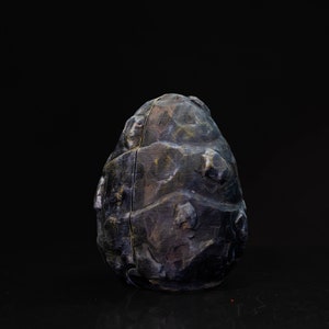 Baby Stone Dragon and Egg