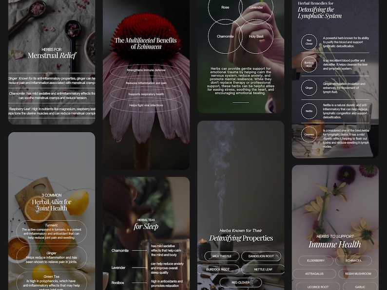Herbalist Instagram Template, Herbal Medicine Reels, Naturopath Social Media, Post, Plant Herbalist Business, Functional Medicine Templates