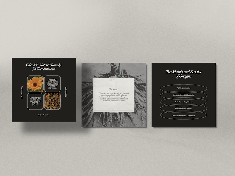 Herbalist Instagram Template, Holistic Coach Post, Naturopath Social Media, Plant Herbalist Business, Functional Medicine, Herbal Medicine