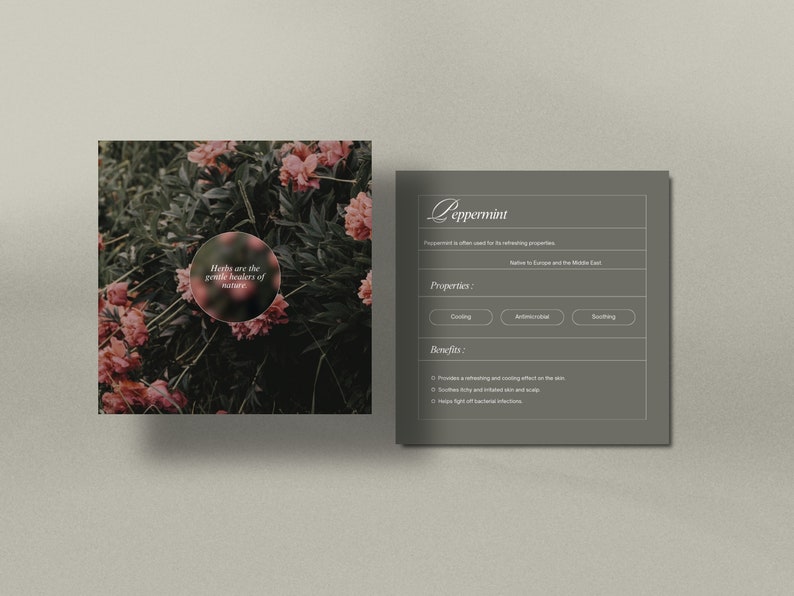 Herbalist Instagram Template, Holistic Coach Post, Naturopath Social Media, Plant Herbalist Business, Functional Medicine, Herbal Medicine