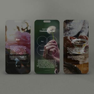 Herbalist Instagram Template, Herbal Medicine Reels, Naturopath Social Media, Post, Plant Herbalist Business, Functional Medicine Templates