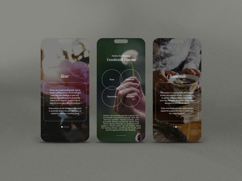 Herbalist Instagram Template, Herbal Medicine Reels, Naturopath Social Media, Post, Plant Herbalist Business, Functional Medicine Templates