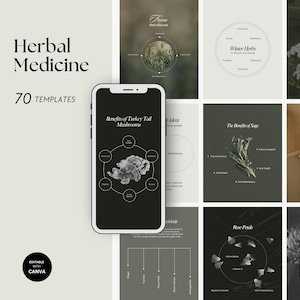Puede incluir: Un conjunto de plantillas de productos digitales para medicina herbal, con un teléfono inteligente que muestra un diagrama de hongos cola de pavo. El diseño incluye varios diseños con texto y gráficos, con las palabras "Herbal Medicine" y "70 TEMPLATES".