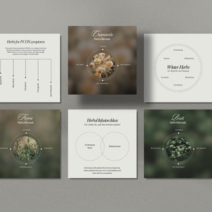 Herbalist Instagram Template, Holistic Coach Post, Naturopath Social Media, Plant Herbalist Business, Functional Medicine, Herbal Medicine