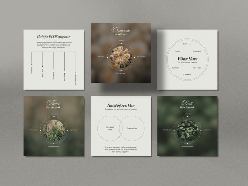 Herbalist Instagram Template, Holistic Coach Post, Naturopath Social Media, Plant Herbalist Business, Functional Medicine, Herbal Medicine