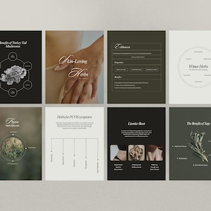 Herbalist Instagram Template, Holistic Coach Post, Naturopath Social Media, Plant Herbalist Business, Functional Medicine, Herbal Medicine
