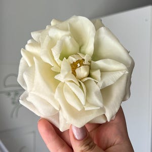 Hyperealistic Rose Flower Candle I Beeswax Candles I Aesthetic Candles I Rose scent I Gift candle l Home Decor l Rose candle l Inverted Rose