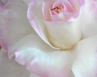 Rose Candle - luxuriöses Geschenk mit Rosenduft