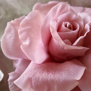 Realistic Rose Flower Candle I Beeswax Candles I Aesthetic Candles I Rose scent I Gift candle l Home Decor l Rose candle l Inverted Rose