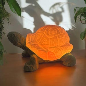 Puede incluir: Una lámpara de tortuga de cerámica con un brillo naranja. La lámpara está sobre una superficie de madera y hay plantas verdes en el fondo.