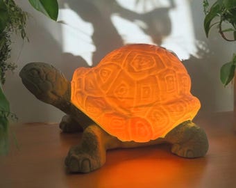 Glowing Turtle Table Lamp - USB LED Lamp, 15 Colors, Dimmable with Switch - Warm White and Color Changing Night light for Kids and Adults