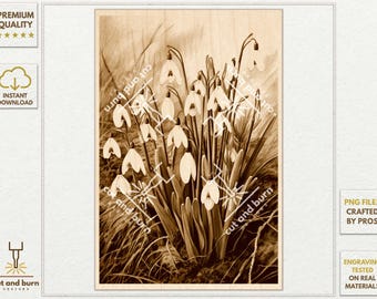 PNG Files Made for Laser Engrave | Snowdrop, Snowdrops, Garden, Flowers, Wildflower, Wild Plants, Floral, Spring, Meadow, Botanical Wall Art
