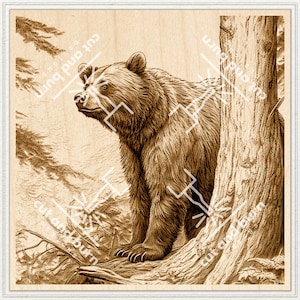 Fichiers image prêts à être gravés au laser | Animal sauvage, Grizzly, Parc national de Yellowstone, Forêt, Bois, Nature, Kodjak, Carré, Quadratique