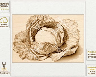 Cabbage Laser Engrave PNG Files: Botanical Art (Digital Download)