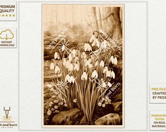 PNG Files Made for Laser Engrave | Snowdrop, Snowdrops, Garden, Flowers, Wildflower, Wild Plants, Floral, Spring, Forest, Botanical Wall Art